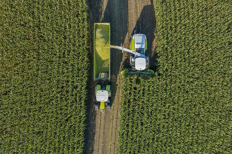 Claas Jaguar 850