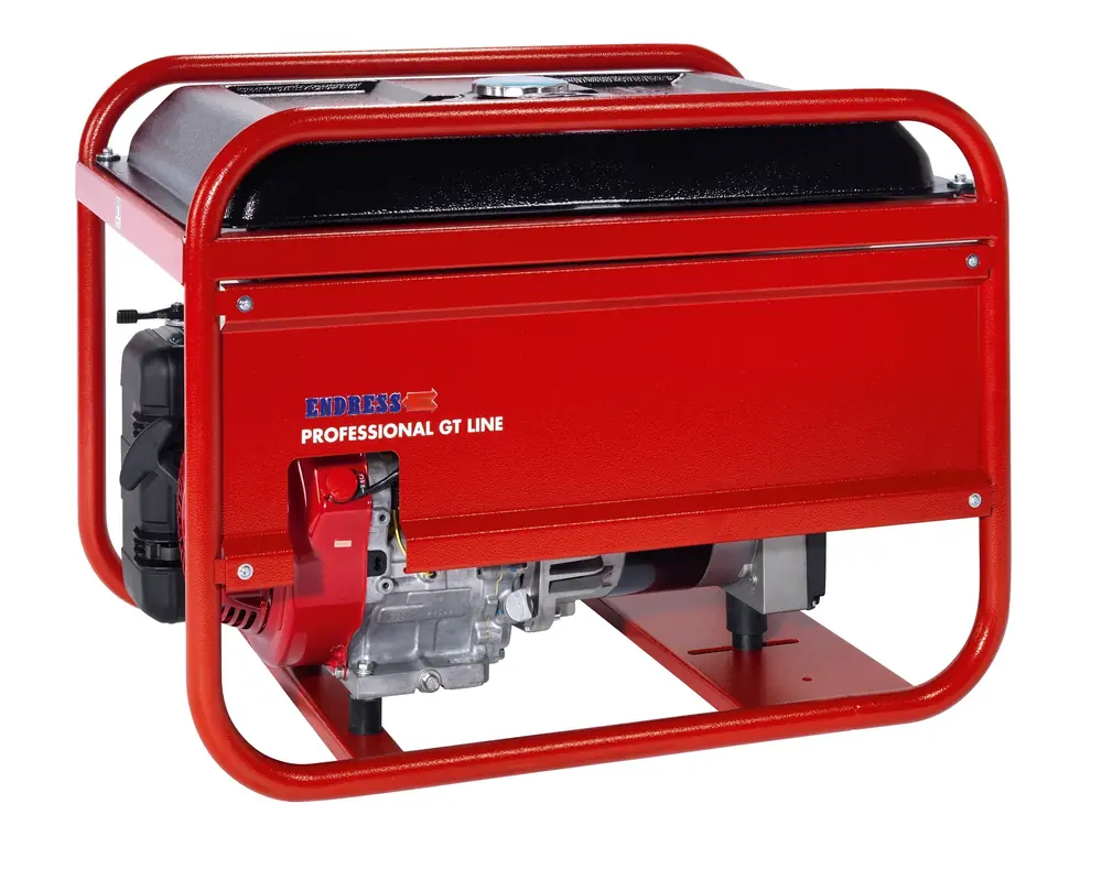 Endress ESE 206 RS-GT