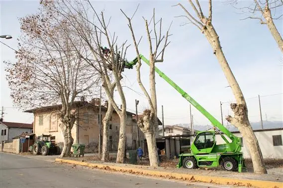 Merlo Roto 38.16 S