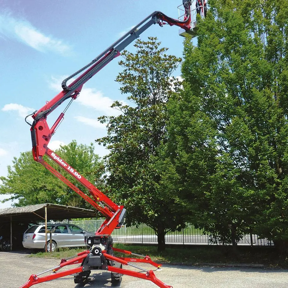 Basket Spider 18 A