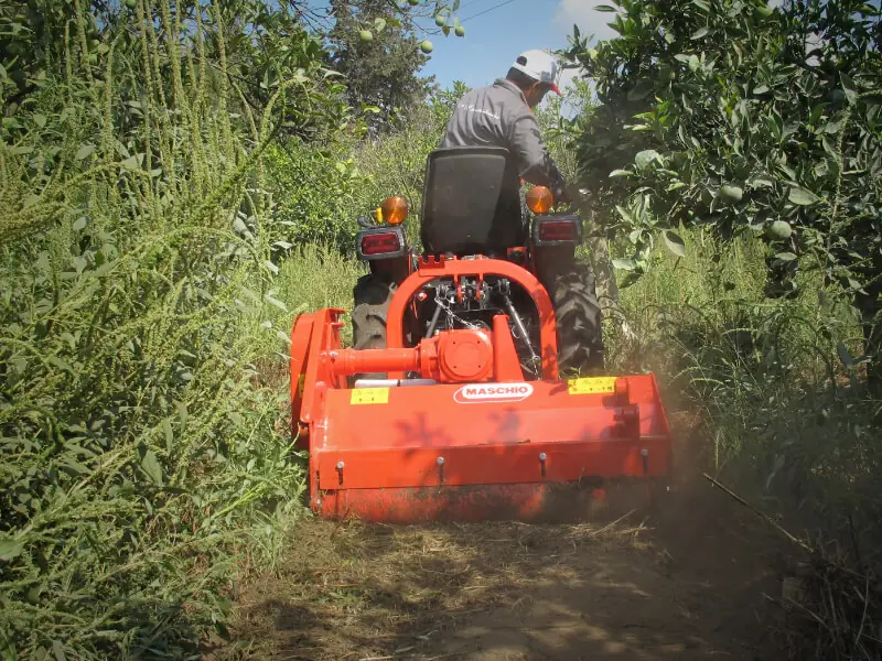Maschio Furba 180 thumbnail 3