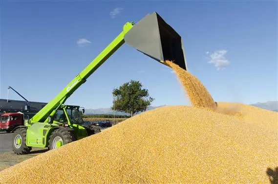 Merlo Panoramic P 55.9 CS thumbnail 15