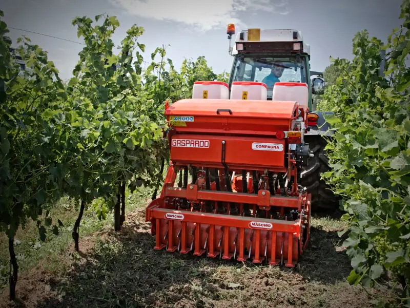 Maschio Delfino 1300 thumbnail 2