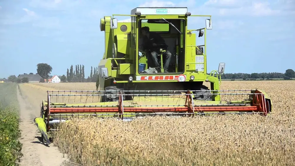 Claas Dominator 105