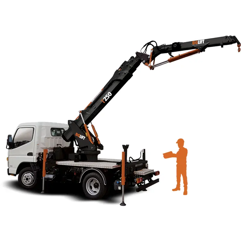 BG Lift T 250