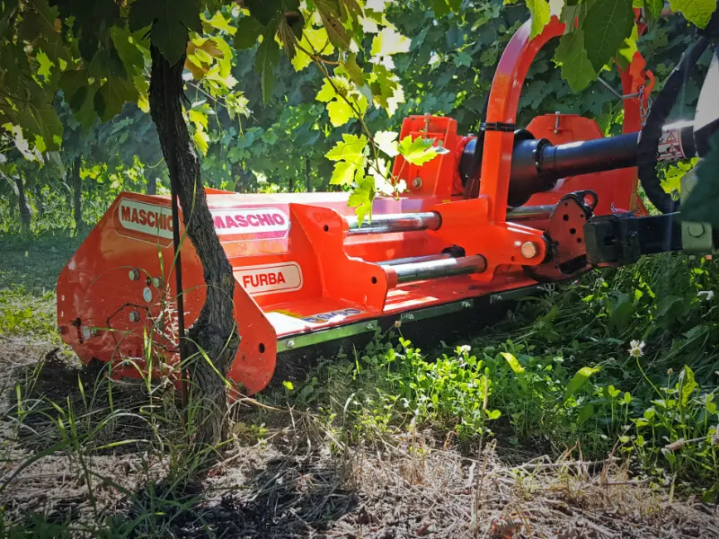 Maschio Furba 100 thumbnail 4