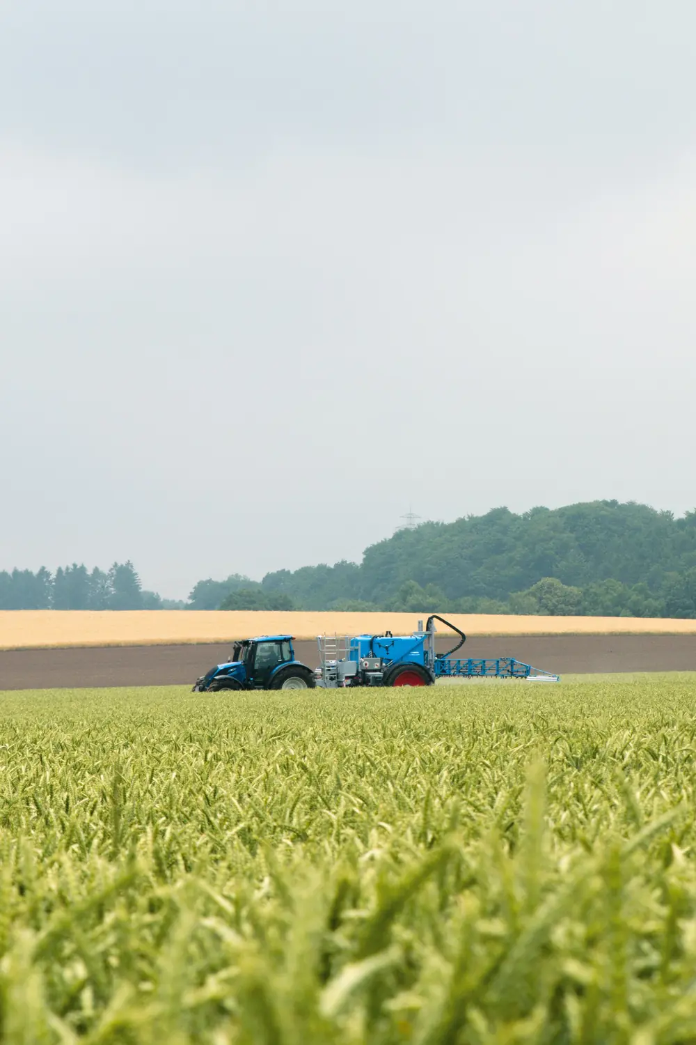 Lemken Primus 12/3500 thumbnail 3