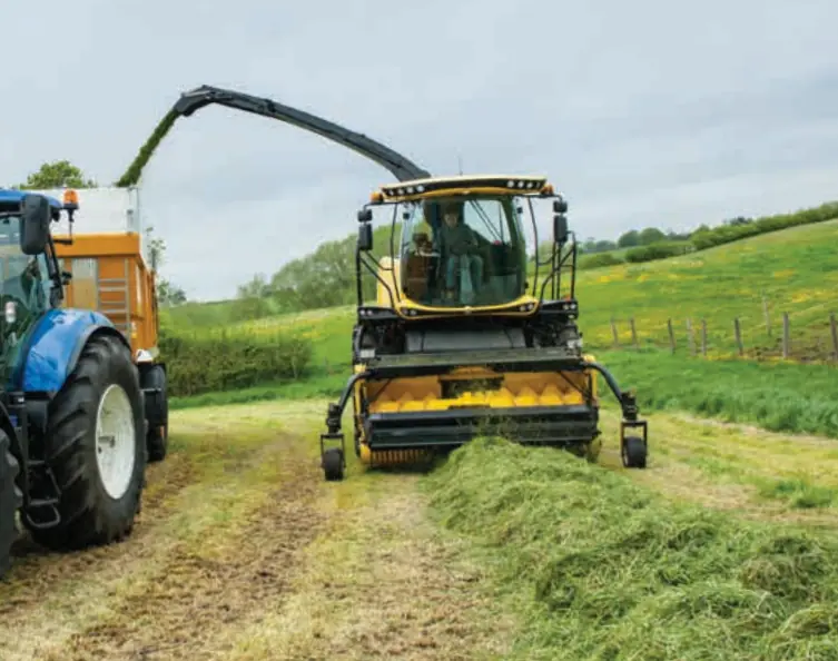 New Holland 300 FP HP Fingers