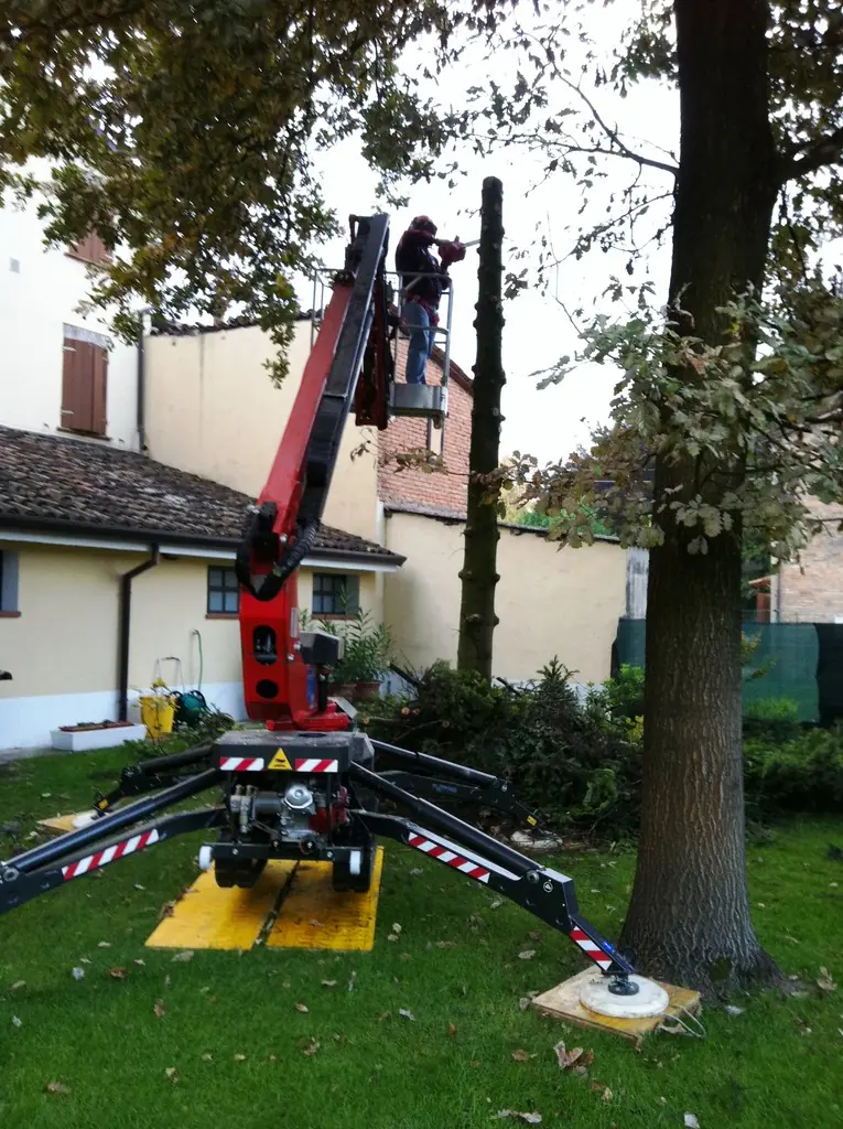Platform Basket SPIDER 13.65 thumbnail 2