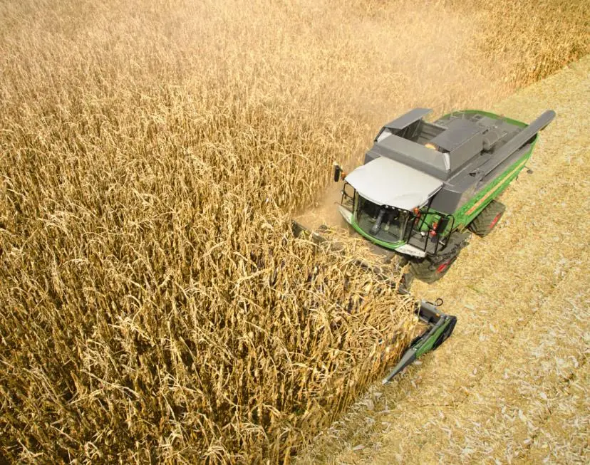 Fendt 6335 C Rice thumbnail 4