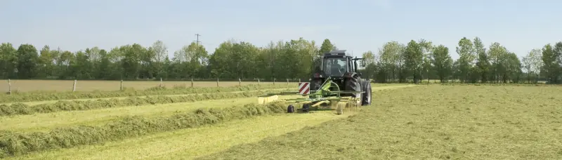 Krone Swadro 38 thumbnail 3