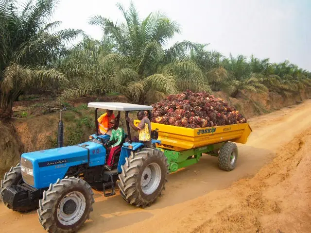 Joskin TRANS-PALM 5000/14C125 thumbnail 2