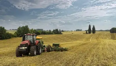 Case IH Magnum 340 Profi thumbnail 3