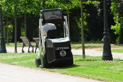 Etesia BUFFALO 100 BVHPX2 thumbnail 4
