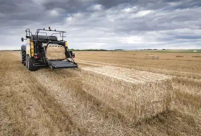 New Holland BB 1270 RC Plus thumbnail 3