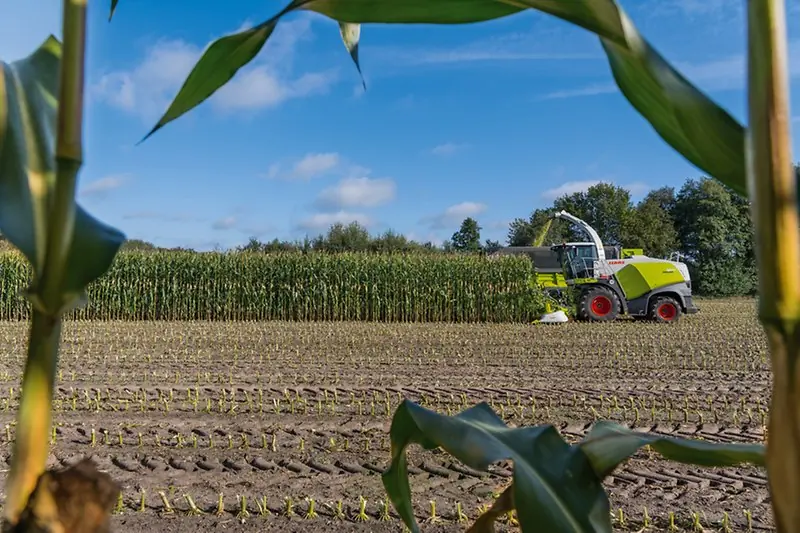 Claas Jaguar 870 thumbnail 5