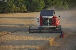 Massey Ferguson Activa 7347 S thumbnail 2