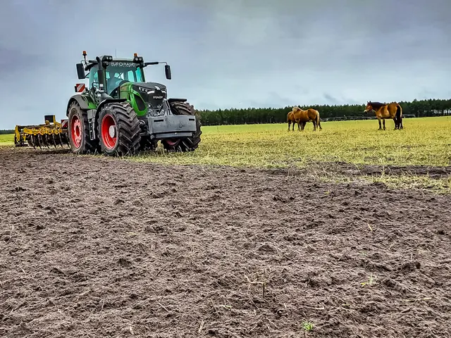 Agrisem Disc-O-Mulch Gold 4.00 thumbnail 6
