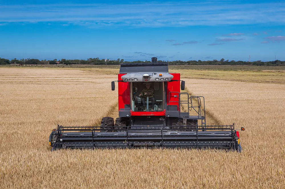 Massey Ferguson MF 5690