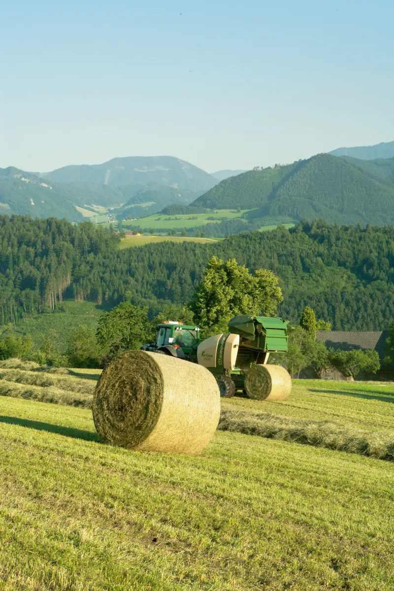 Krone Fortima V 1500