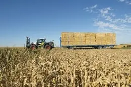 Claas Scorpion 6035 Biogas thumbnail 4