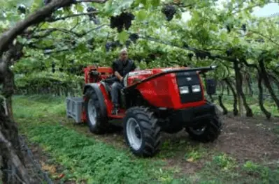 Massey Ferguson MF 3325 S (A)