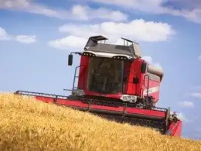 Massey Ferguson Beta 7370 PL thumbnail 3