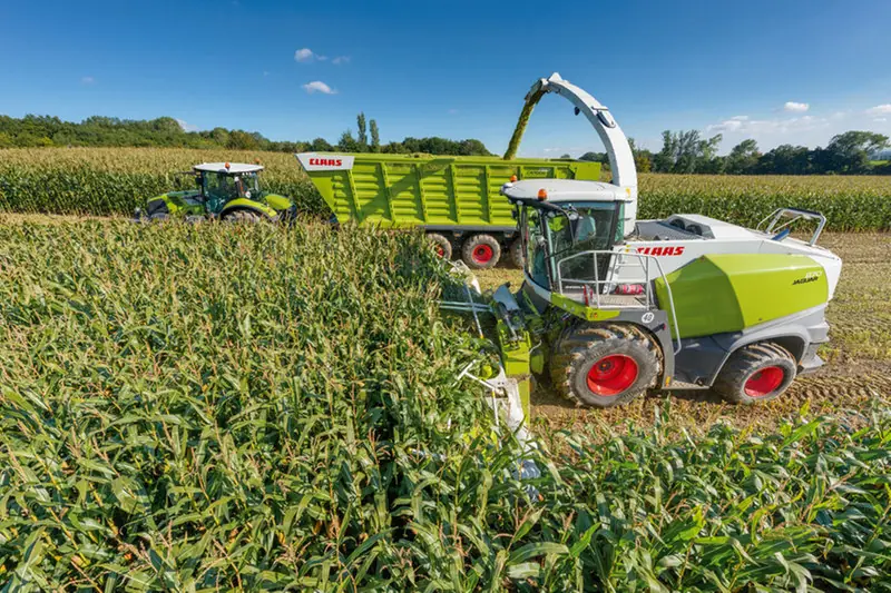 Claas Jaguar 830 thumbnail 3