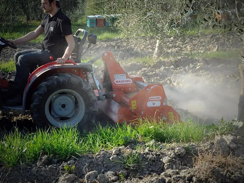 Maschio W 125 thumbnail 2