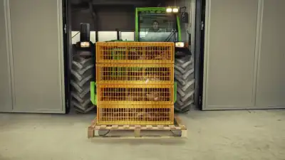 Merlo TF 30.9 G thumbnail 9