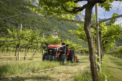 Massey Ferguson MF 3GE.105 thumbnail 3