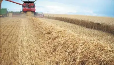 Case IH Axial Flow 9120 thumbnail 2