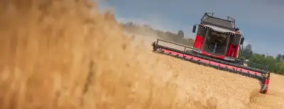 Massey Ferguson Beta 7360 thumbnail 2