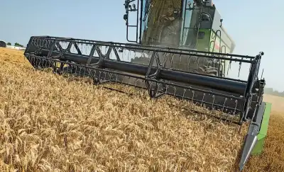 Fendt 5225 E Rice