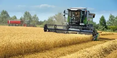 Fendt 5225 E Rice thumbnail 4