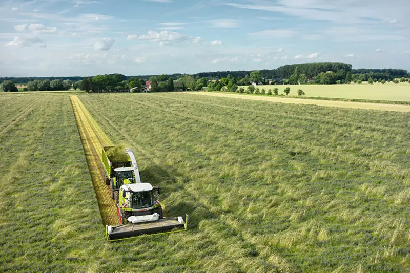 Claas Jaguar 980 thumbnail 4