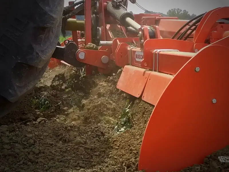 Maschio Pantera L 470 thumbnail 2