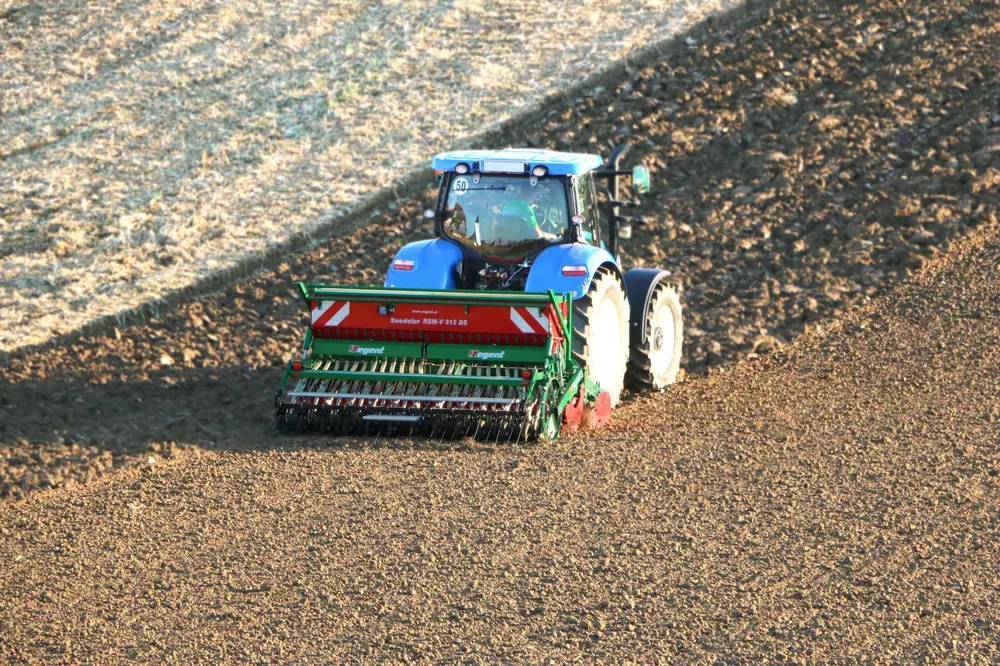 Regent Seedstar RSM V 312 DS