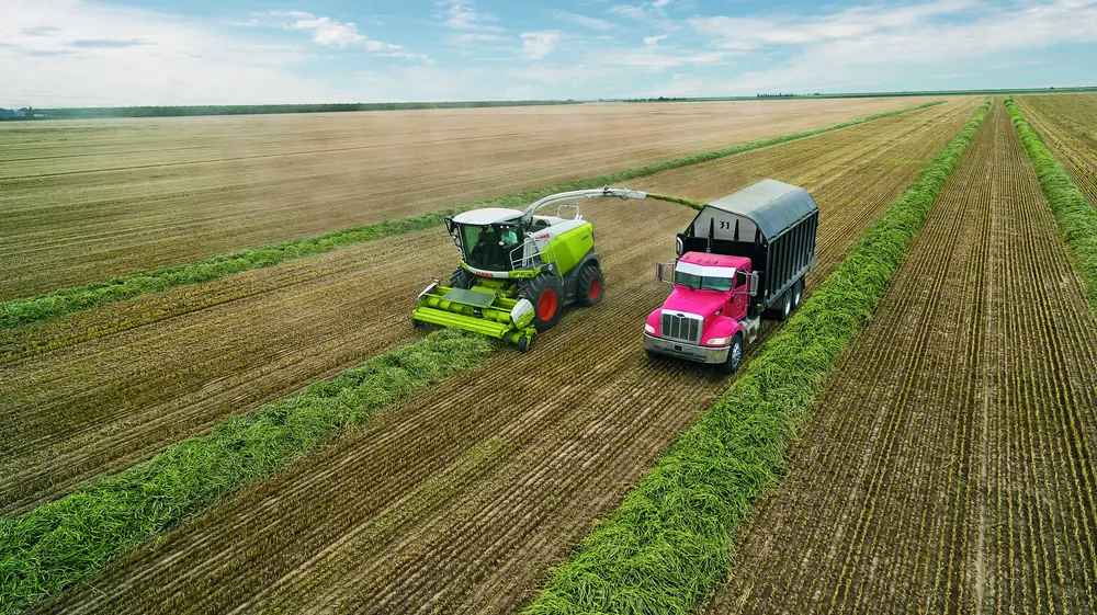 Claas Jaguar 980 thumbnail 2