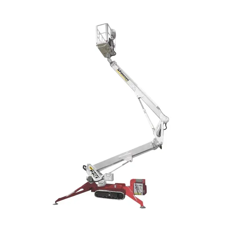 Palazzani TZX 250S C