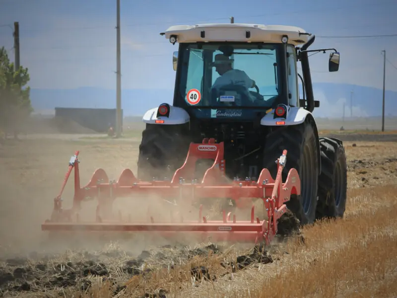 Maschio Pinocchio 250/5