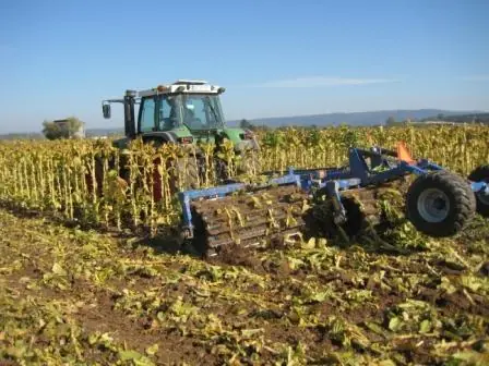 DAL-BO MaxiCut 150