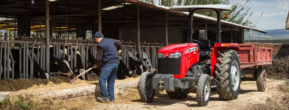Massey Ferguson MF 2630 GE thumbnail 3