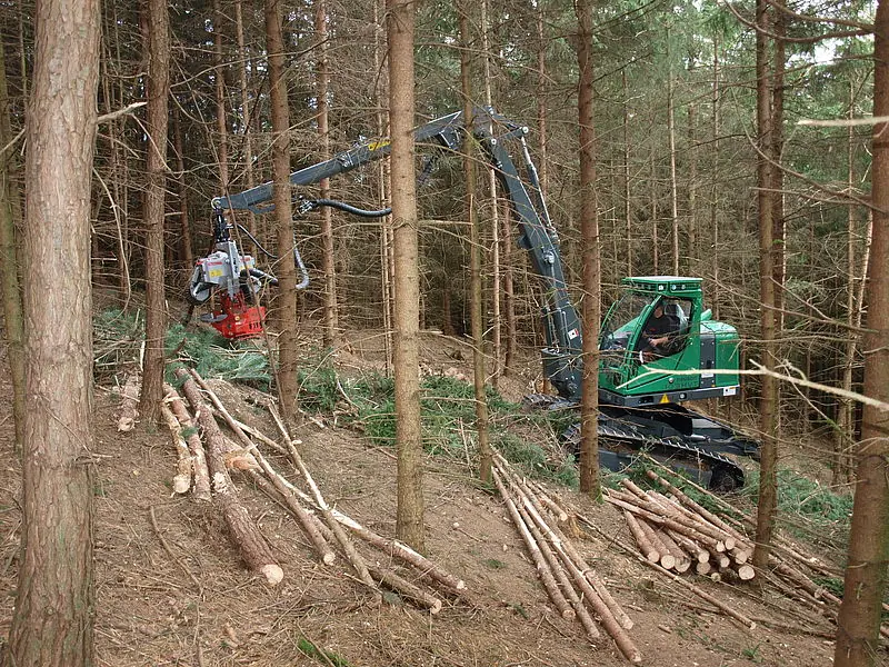 Neuson Forest 103HVT