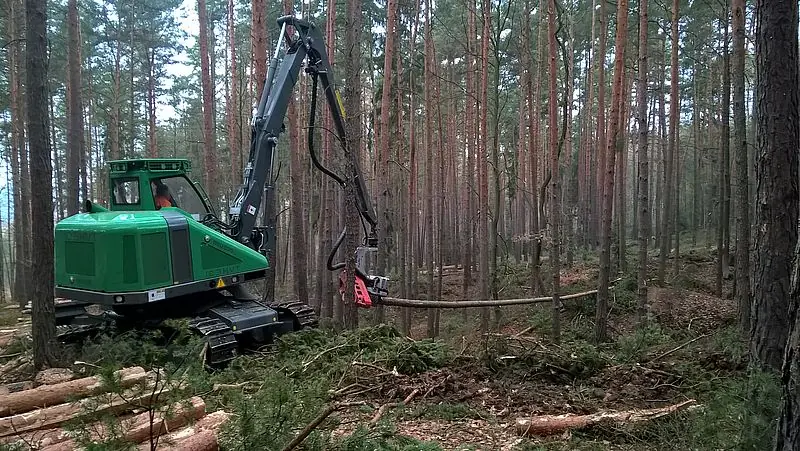 Neuson Forest 103HVT thumbnail 5