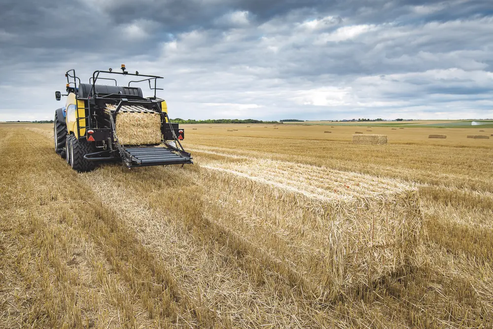 New Holland BB 1290 Plus thumbnail 33